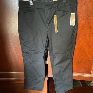 4/$15 NWT No Gap Waistband Plus Size Pants